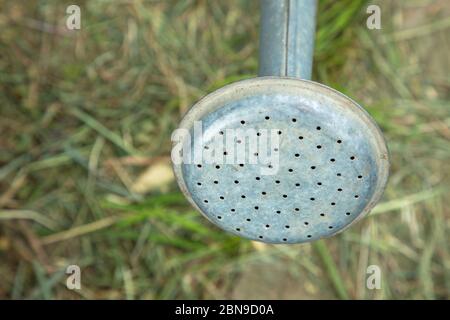 Traditioneller Trichter und Auswurflippe. Ansicht von oben nach unten vor dem Hintergrund von unscharfem Gras. Vertikale Aufnahme, selektiver Fokus für Gartenarbeit, Grafikdesign. Stockfoto