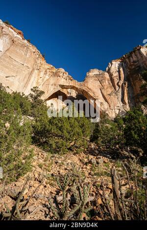 La Ventana Arch, Cebolla Wilderness, El Malpais National Conservation Area, New Mexico USA Stockfoto