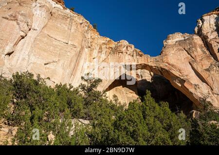 La Ventana Arch, Cebolla Wilderness, El Malpais National Conservation Area, New Mexico USA Stockfoto