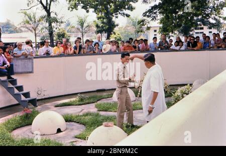 1973 Thailand - Milchschlangen auf einer Schlangenfarm in Bangkok Thailand Stockfoto