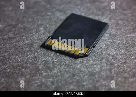 Schwarze SD-Speicherkarte auf grauem Hintergrund, Nahaufnahme. Stockfoto