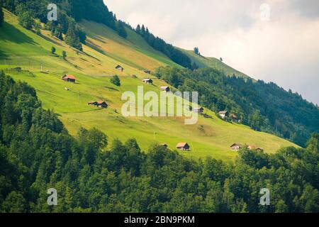 Blick auf Felder und Häuser von Burgenstock bei Luzern see Stockfoto