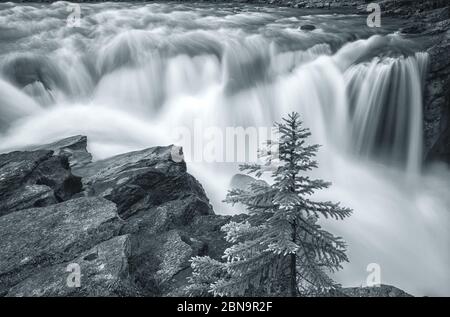 Sunwapta Falls, Jasper National Park, Alberta, Kanada, in Schwarz-Weiß gehalten. Stockfoto