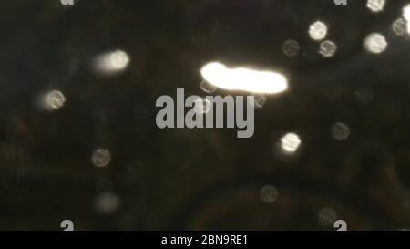 Bokeh Sonnenblendung reflektiert in Wasseroberfläche. Sonnenstrahlen flackern in der Wasseroberfläche. Schimmerndes Wasser in der Sonne. Abstrakt verschwommen aus dem Fokus Bokeh backgroun Stockfoto