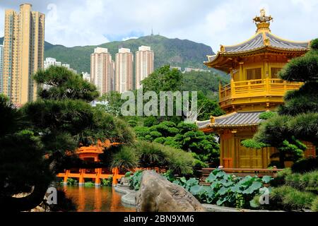 Hong Kong China - Goldene Pagode im Garten von Nan Lian Stockfoto