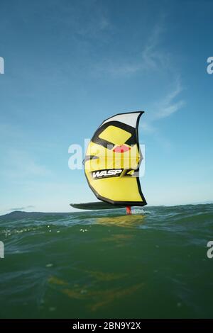 Ein junger Mann wingfoils in Auckland Hafen an einem Sommertag, mit einem Hand gehalten aufblasbaren Flügel und Reiten ein Tragflächenboot Surfboard. Stockfoto