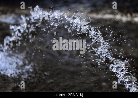 Wasser spritzt aus dem Brunnen, Jet, Aqua-Tropfen, klare Flüssigkeit Spritzer auf dunkelgrauem Hintergrund Stockfoto