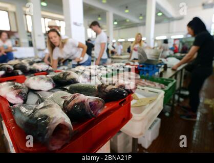 Der Fisch- und Meeresfrüchtemarkt in Zadar, Kroatien. Stockfoto