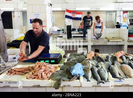 Der Fisch- und Meeresfrüchtemarkt in Zadar, Kroatien. Stockfoto