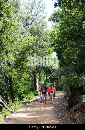 Wandern auf dem Weg zu Fort Royal Ruinen auf Lokrum Insel in der Nähe von Dubrovnik, Kroatien. Stockfoto