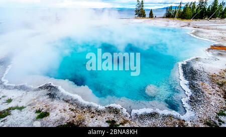 Der türkisfarbene Back Pool im West Thumb Geyser Basin im Yellowstone National Park, Wyoming, USA Stockfoto