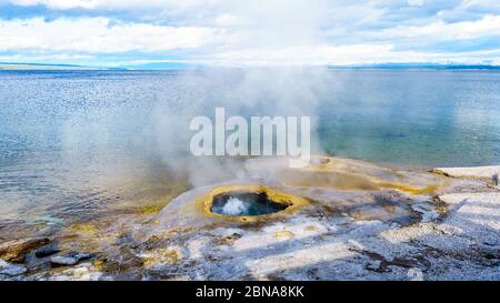 Der Lakeshore Geyser im West Thumb Geyser Basin im Yellowstone National Park, Wyoming, USA Stockfoto