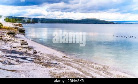 Die Küste des Yellowstone Lake am West Thumb Geyser Basin im Yellowstone National Park, Wyoming, USA Stockfoto