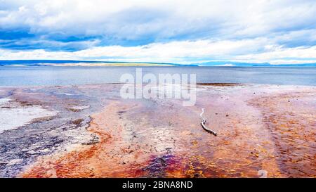 Die rote Bakterienmatte, die von Geyser Water kreiert wurde, das vom Black Pool Geyser in den Yellowstone Lake im West Thumb Geyser Basin, USA fließt Stockfoto