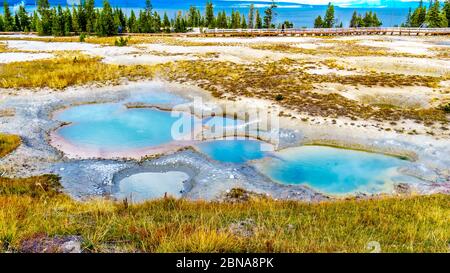 Der türkisfarbene Painted Pool im West Thumb Geyser Basin im Yellowstone National Park, Wyoming, USA Stockfoto