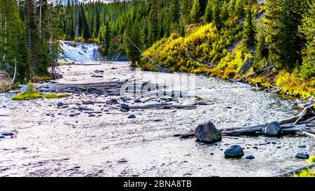 Lewis Falls im Lewis River an der Kreuzung mit Highway 287 in Yellowstone National Park, Wyoming, Vereinigte Staaten Stockfoto