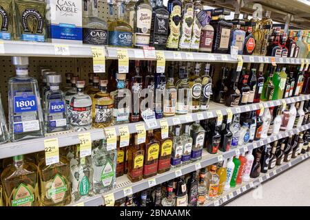 Miami Beach Florida, North Beach, Walgreens Spirituosenladen, innen, Regalen, Flaschen, Jack Daniel's, Tequila, Marken, alkoholische Getränke, FL200415033 Stockfoto