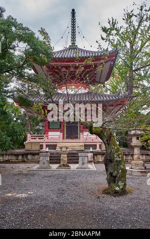 Die Ansicht der Tahoto (Pagode mit vielen Juwelen) mit dem alten gedrehten Kirschbaum (Sakura) im Vordergrund. Chion-in Buddhistischer Tempelkomplex. Higashiya Stockfoto