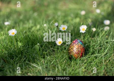 Osterjagd - verschiedene Farben Ei in einem Hinterhof unter Gänseblümchen Stockfoto