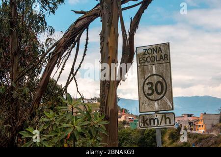 Schöne Aufnahme eines getrockneten Baumes und eines Verkehrszeichens: Übersetzung: Geschwindigkeitsbegrenzung - 30 km/h Stockfoto