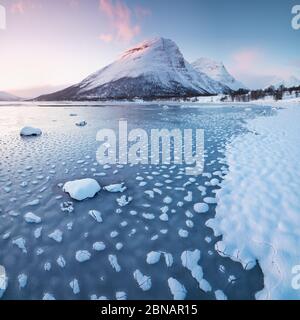 Pink am frühen Morgen leuchtet auf schneebedeckten Bergen im arktischen norwegen auf, eine superbreite Panoramaszene. Blick auf den Winter auf den schneebedeckten Berg in Scandina Stockfoto