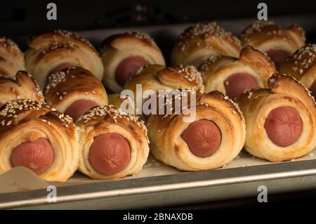 Gebackene Würstchen im Teig mit Sesam auf dem Backblech. Frische hausgemachte Bäckerei. Stockfoto