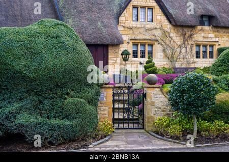 Strohhütte mit gut gepflegten Garten im Winter, in der Cotswolds Stadt Chipping Campden, Großbritannien Stockfoto