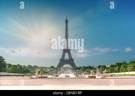 PARIS, FRANKREICH - 07. Jun 2019: Blick auf den Eiffelturm vom Trocadero-Brunnen bei Tageslicht im Sommer mit grünen Bäumen. Vögel fliegen Stockfoto