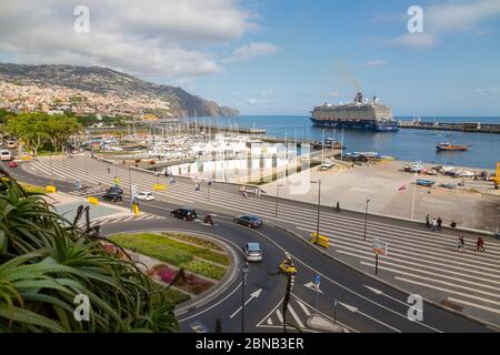 Blick auf das Kreuzfahrtschiff, das den Hafen verlässt, vom Santa Catarina Park und den Gärten, Funchal, Madeira, Portugal, Europa Stockfoto