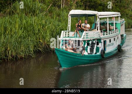 Ein paar Touristen, die in einem traditionellen hölzernen Klook durch den Sekonyer River, Tanjung Puting National Park, Borneo, Indonesien navigieren Stockfoto