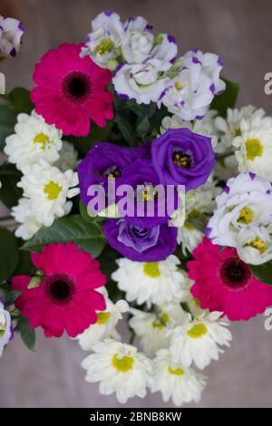 Auswahl an Frühlingsblumen in verschiedenen Farben von rosa lila und weiß Stockfoto