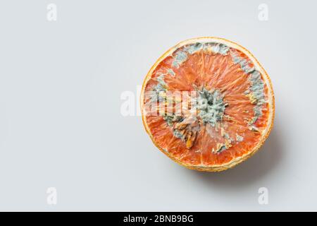 Hässlich halb orange mit Schimmel auf grauem hellem Hintergrund. Quadratisches Bild. Nahaufnahme, isoliert. Draufsicht. Stockfoto