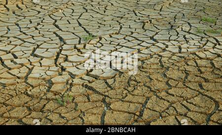 Sehr Dürre Feuchtgebiet, Sumpf und Teich trocknen den Boden rissig Kruste Erde Klimawandel, Oberfläche extreme Hitzewelle verursacht Krise, Umwelt Stockfoto