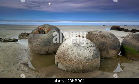 Moeraki Boulders, Neuseeland, Südinsel Stockfoto