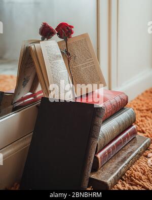 Rote Rose in einem offenen Buch auf einem Bücherstapel Stockfoto