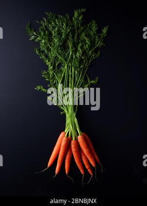 Bund frischer Karotten auf schwarzem Hintergrund, Draufsicht Stockfoto
