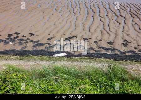 Blick auf den Fluss entlang des Thames Path in Greenhithe in der Nähe von Dartford, Kent, Großbritannien Stockfoto