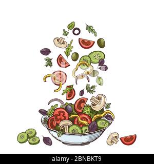 Salat Hintergrund. Hand gezeichnet gesunde Lebensmittel Zutaten. Pilze Gurken, Tomaten Oliven und Salatblätter. Vector vegetarische Mahlzeit. Illustration von Salat Bio-Pfeffer und Pilz Stock Vektor