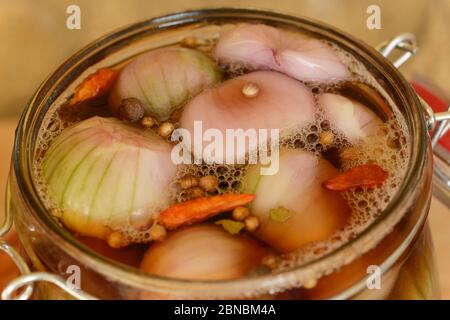 Allium cepa (Aggregatum Group) 'Red Sun' Schalotten im Glas mit Essig und eingelegten Gewürzen Stockfoto