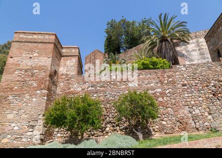 Blick auf die Mauern von Alcazaba, Malaga, Costa Del Sol, Andalusien, Spanien, Europa Stockfoto