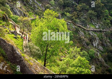 Arouca, Portugal - 28. April 2019: Blick auf die Paiva-Gehwege entlang des Hanges und eine Gruppe von 4 Personen, die an einem sonnigen Frühlingsnachmittag spazieren. Stockfoto