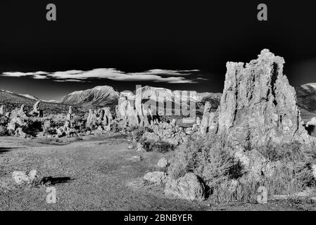 Graustufenaufnahme der Tufftürme am Mono Lake Tufa State Naturschutzgebiet in Kalifornien Stockfoto