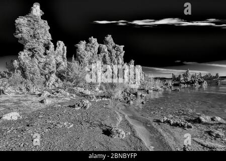 Graustufenaufnahme der Tufftürme am Mono Lake Tufa State Naturschutzgebiet in Kalifornien Stockfoto