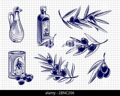 Kugelschreiber Vektor Olivenöl Flaschen und Oliven Illustration isoliert Stock Vektor
