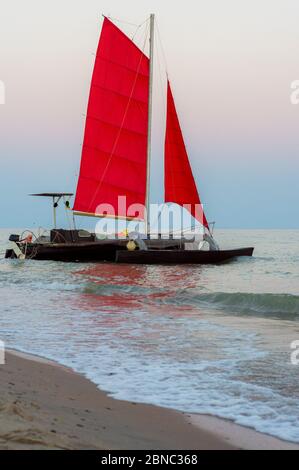 Segelboot Katamaran im Meer am Strand. Stockfoto