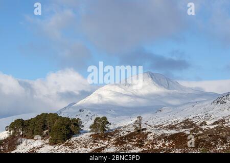 Morgensonne auf schneebedecktem Sgurr na Lapaich, Glen Affric, Schottland Stockfoto