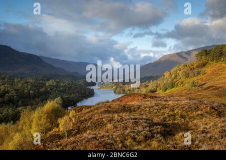 Loch Affric im Herbst, Glen Affric, Highland, Schottland Stockfoto