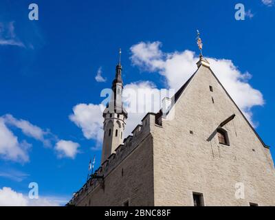 Fragment eines alten Gebäudes mit einem Dach Flügel in der Altstadt von Tallinn. Tallinn, Estland, Europa Stockfoto