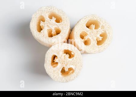 Luffa Loofah. Gemüseschwamm aus der Luffa-Pflanze auf hellem Hintergrund extrahiert. Umweltfreundliche Lofahs Schwämme, keine Abfälle. Nachhaltiges Badezimmer und Stockfoto