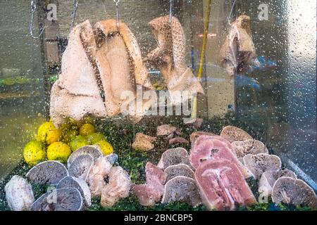 Schweinefleisch-Schnauze, traditionelle Suppen in Neapel Stockfoto